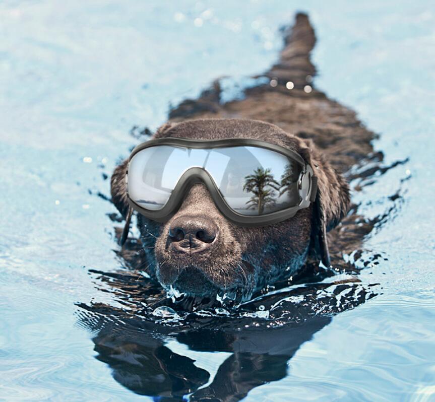 New Product Adjustable Eye Wear Dog Goggles Pet Sunglasses Protection Windproof Sunglasses