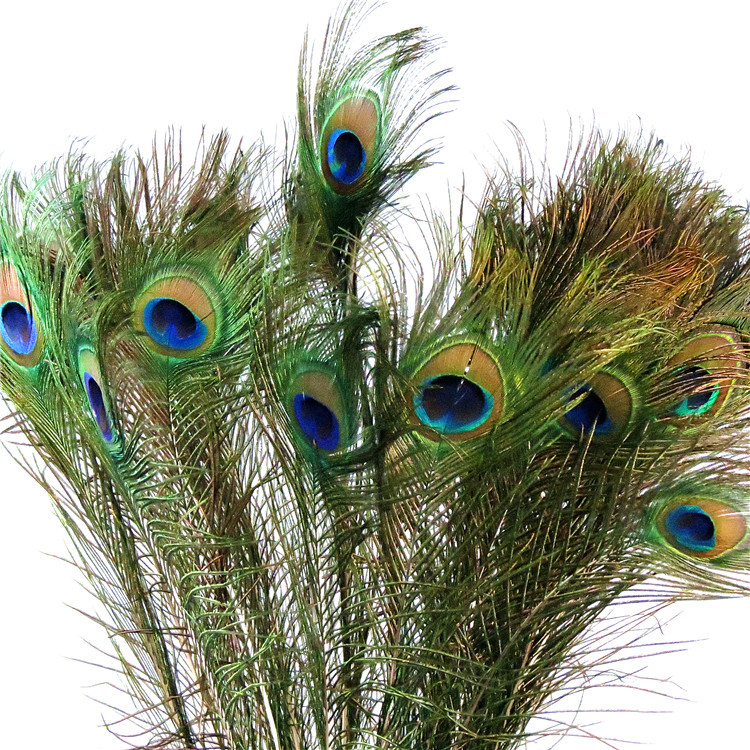 O-X0171 Wholesale High quality beautiful natural peacock eye feather for carnival decoration Diy Decorative real peacock feather
