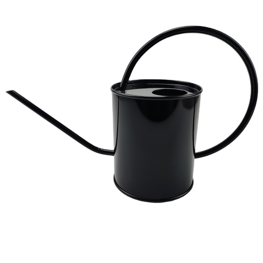 Outdoor Garden Flower Kids Watering Can Custom 1.3L Stainless Steel Self Watering Plant Pots