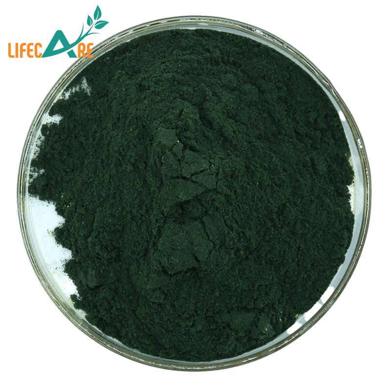Best Price Bulk Pigment Powder Chlorophyll Sodium Copper Chlorophyllin