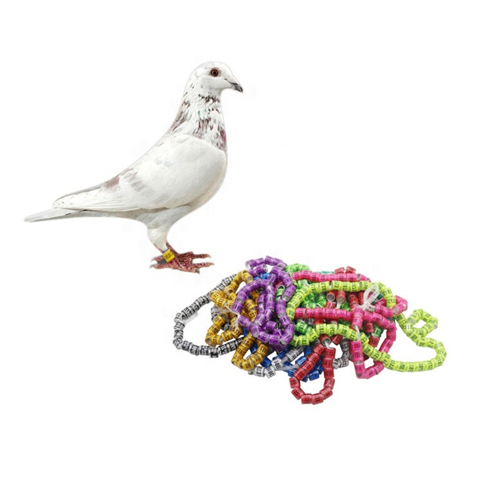 2021 Aluminum Pigeon Ring 8mm Bird Chicken Supplies Accessories Pigeon Identification Foot Parrot Leg Rings