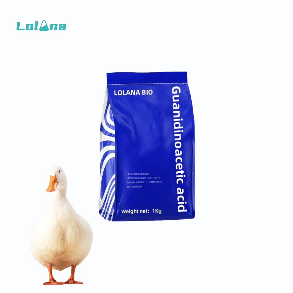 Guanidineacetic Acid Feed Grade Eliminate free radicals, improve flesh color reduce stress for duck