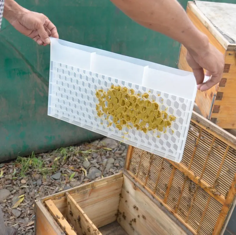 New type bee frame pollen feeder for beekeeping