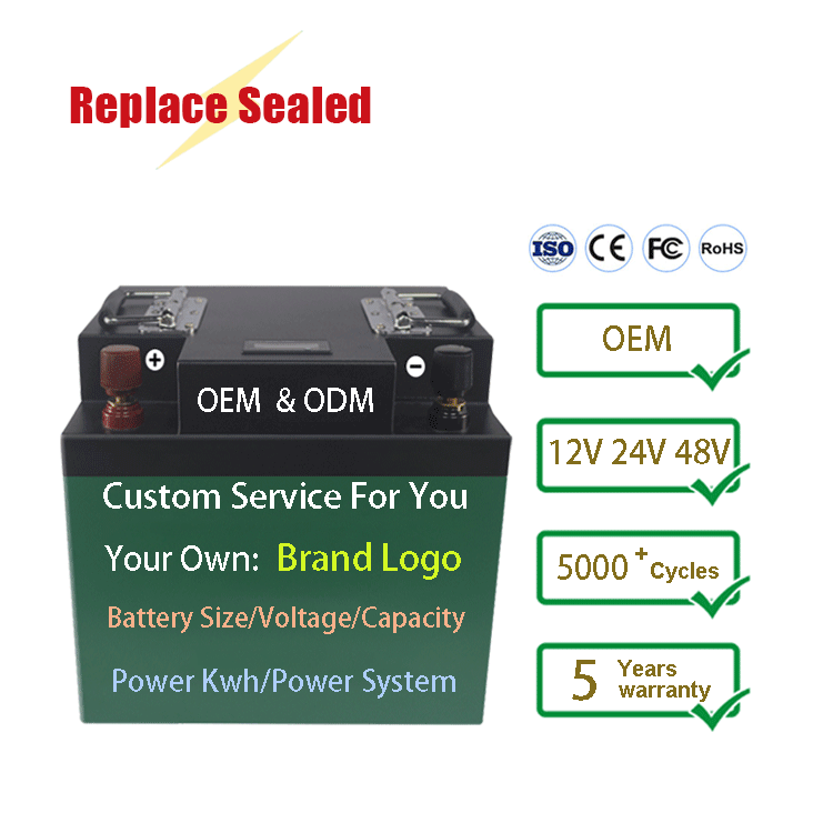 CERRNSS OEM ODM 48V 24V 300Ah 280Ah 200Ah 100Ah 12V 20Ah Solar Lifepo4 Pack Battery ion Lithium Iron Phosphate Battery