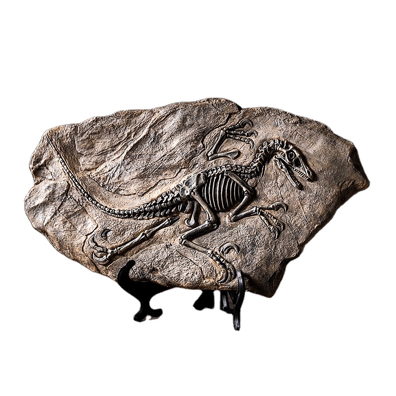 Dinosaur Fossil Artificial Sculpture Resin Miniature Nude Figurines Statue Crafts Desktop Furnishings Collection Home Decor