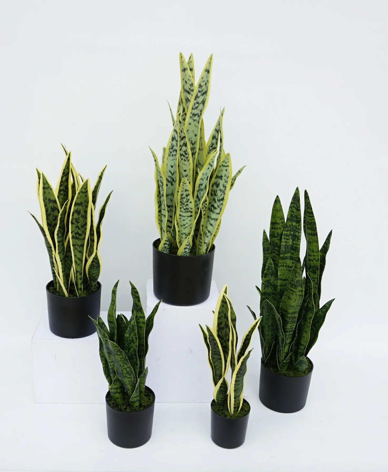 60 см настоящие на ощупь искусственные зеленые растения Sansevieria искусственные растения