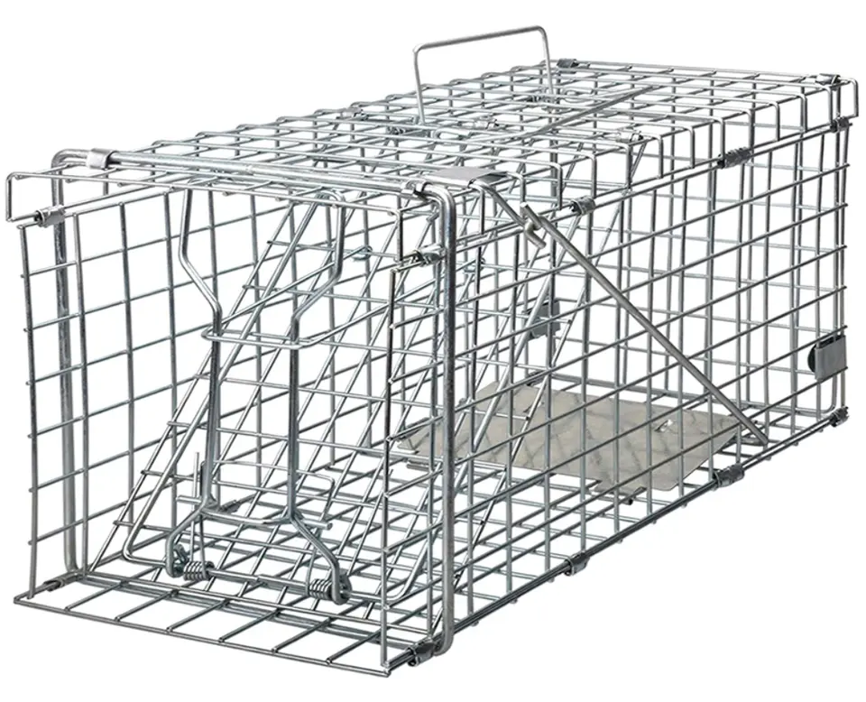 Large Wild Animal Coyote Raccoon Live Trap Mink Beaver Weasel Badger Squirrel Possum Humane Rabbit Dog Fox Cage Cat Animal Trap