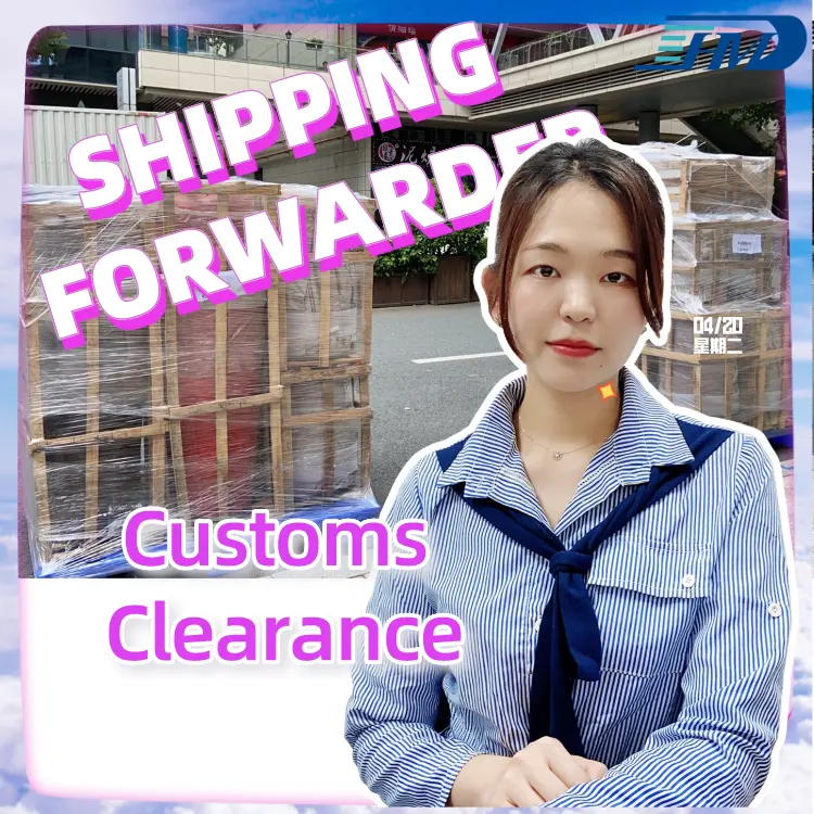 Swwls The Shipping Agent Offer Sea Air Shipping Freight With Door To Door Service From China