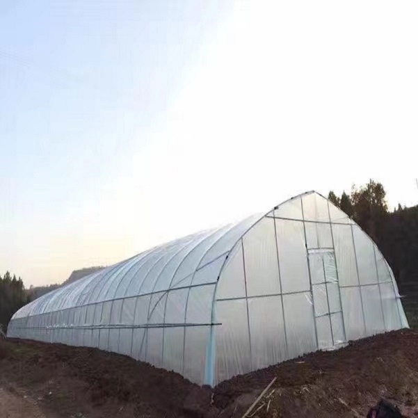sale on greenhouse tunnel for agriculture Easiest Installation agriculture greenhouse