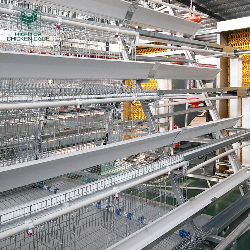 Hightop A Type 4Tier 192 Birds Laying Hens Chicken Cage Battery Cage Fully Automatic Poultry Farm Equipment With Drinking System