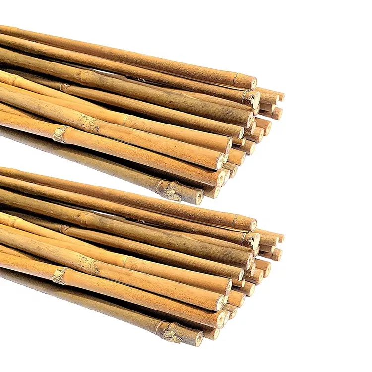 Eco-friendly sturdy treated bamboo poles canes stakes Sticks