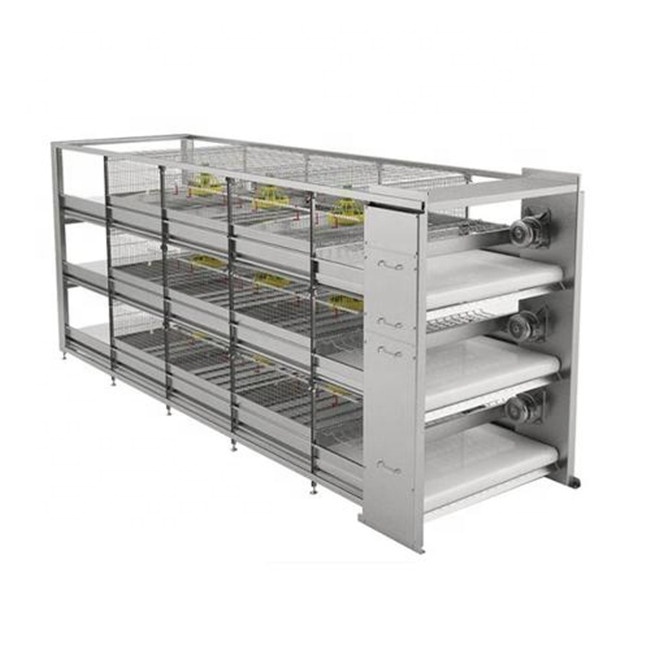 Automatic Layer Bird Shed H Type Galvanized Egg Laying Hens Chicken Cage Poultry Shed