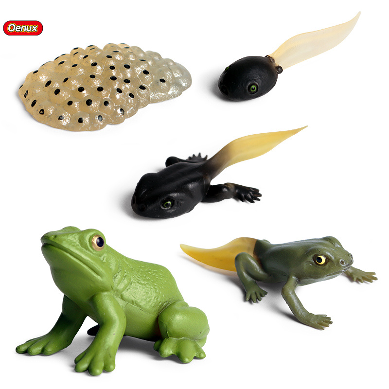 Oenux оптовая продажа ПВХ игрушки животных моделирование дикого бульдога Tadpole люк лягушка рост цикл фигурки Модель