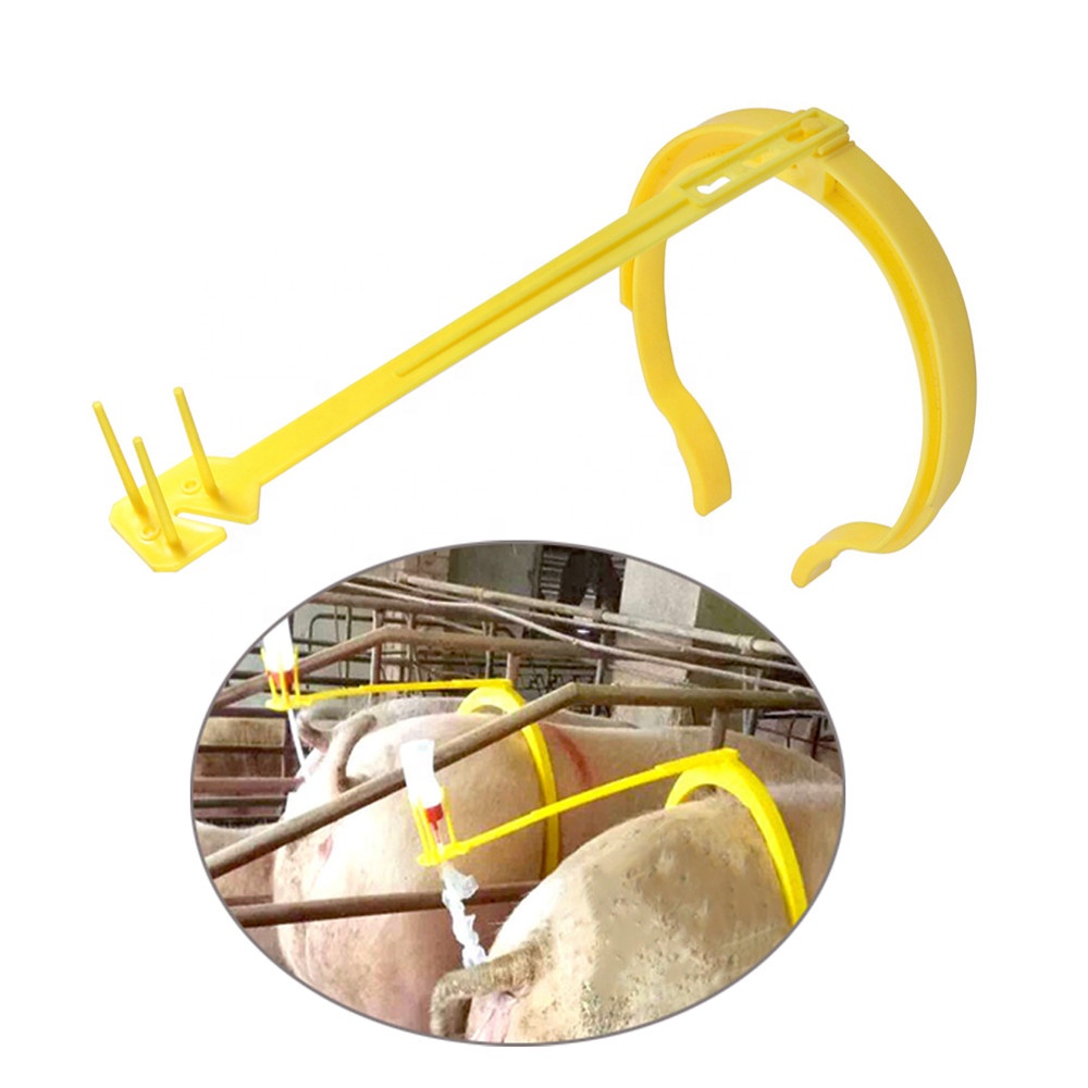 4 PCs Pig Artificial Insemination Clip Holder Sows Insemination Fertilization Artificial With Auxiliary Clamping Ring