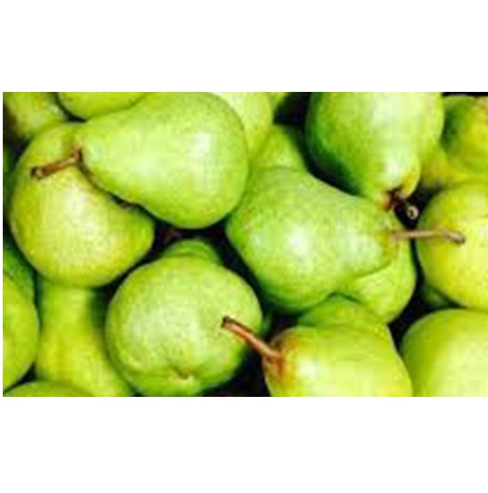 Южная Африка, супер качество, свежие PACKHAM TRIUMPH PEARS, оптовая продажа