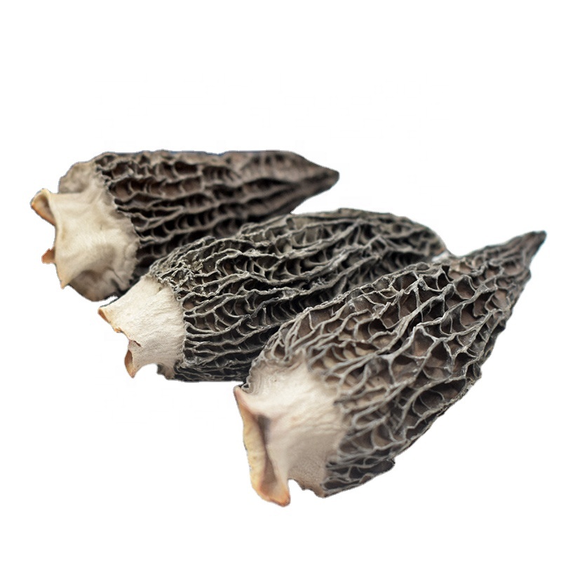 Сушеный волшебный гриб Morchella Morel Esculenta по заводской цене, оптовая продажа оптом