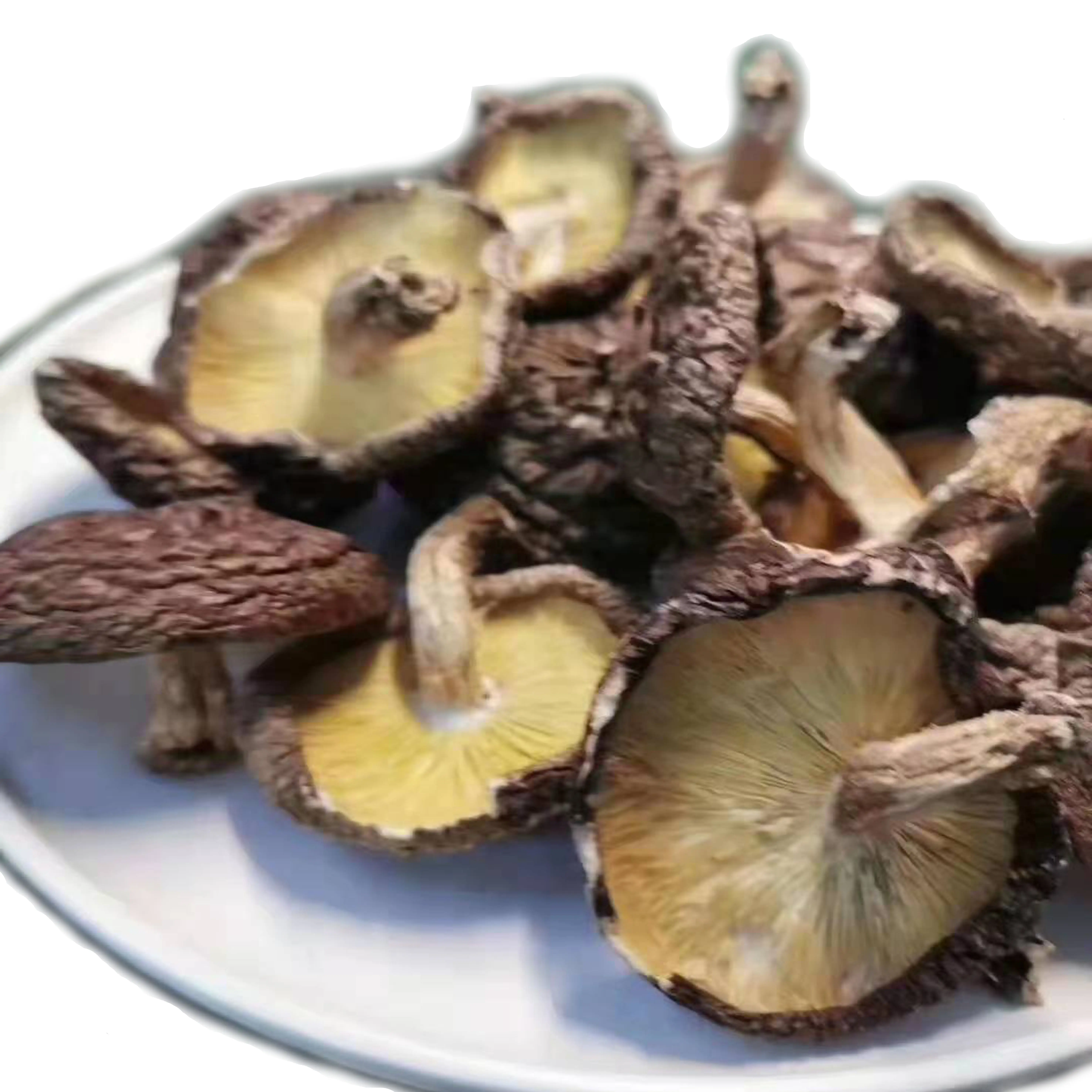 Popular Products Low Moq Dried Shiitake Mushroom At Good Prices Natural Delicious