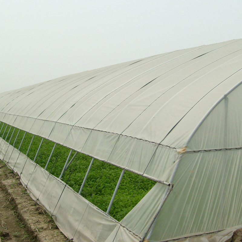 Agricultural multi-span arched plastic film greenhouse tomato greenhouse project
