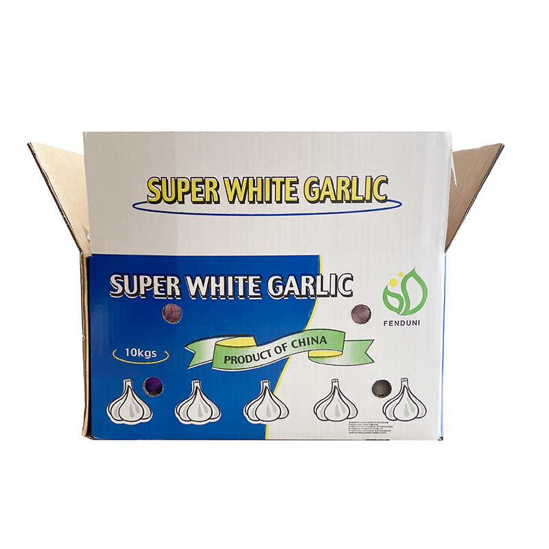 China Factory Pure White Fresh Garlic Price/ bulk garlic for sale/ garlic from Chinese