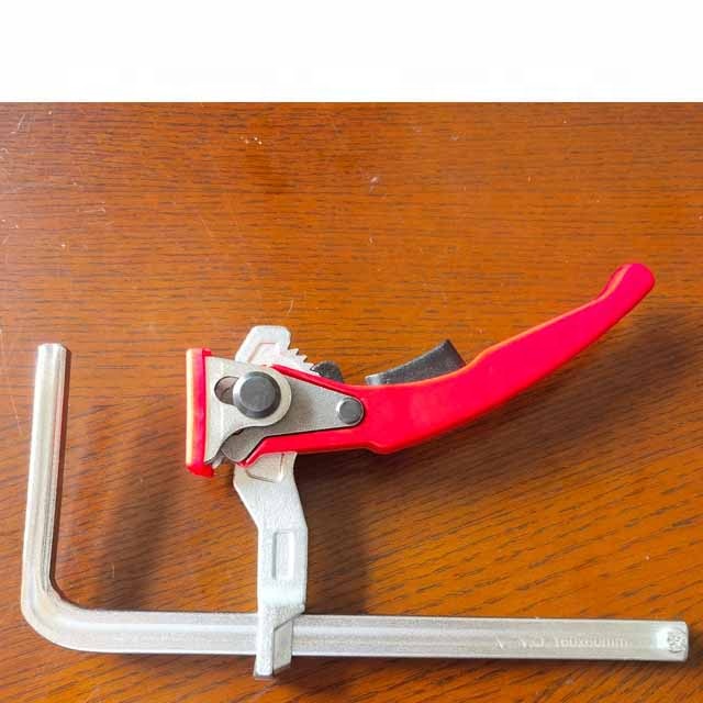 Ratchet track clamp