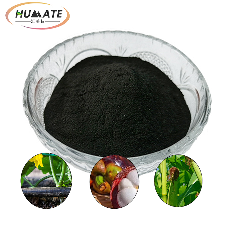 Ningxia Humate рисовое удобрение типа 95%-100% водорастворимое npk сельскохозяйственное удобрение цена