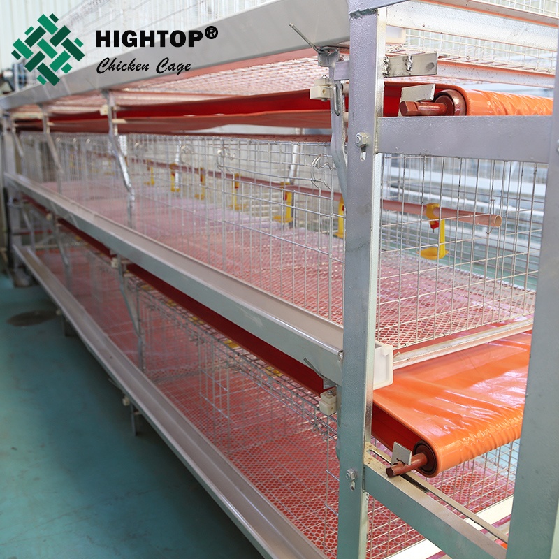 Бройлерная куриная клетка HIGHTOP на продажу
