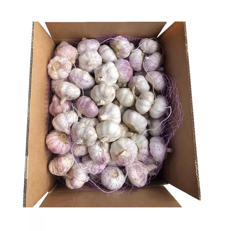 Wholesale export Chinese fresh garlic