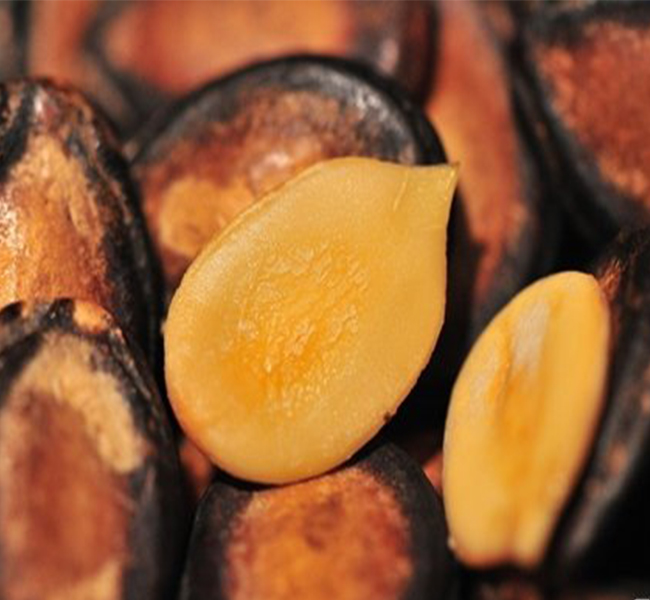 Factory direct densuke black giant watermelon seeds price for selling
