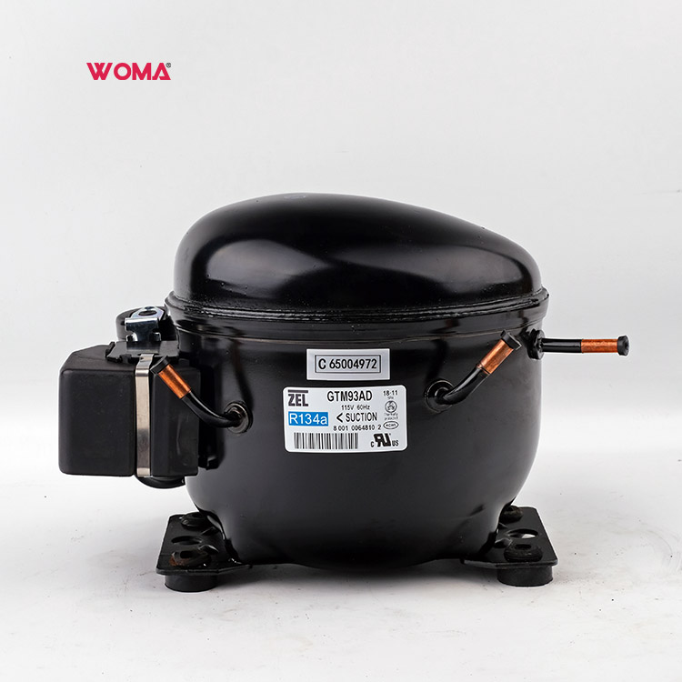 Холодильный компрессор для холодильника Zanussi Zel GTM93AD 115V/60Hz R134a