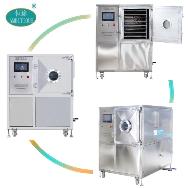 Commercial Vacuum Soluble Royal Jelly Powder Freeze Drying Lyophilizer Machine for Home Electric Heating PLC + Touch Screen 500