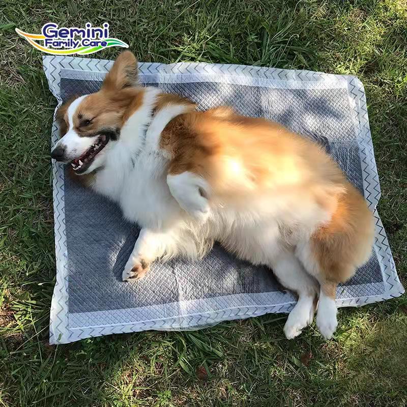 XL training disposable factory oem indoor pee pads for dogs,Wholesale Comfortable Pet Training Pad Disposable Dog Pee Pad