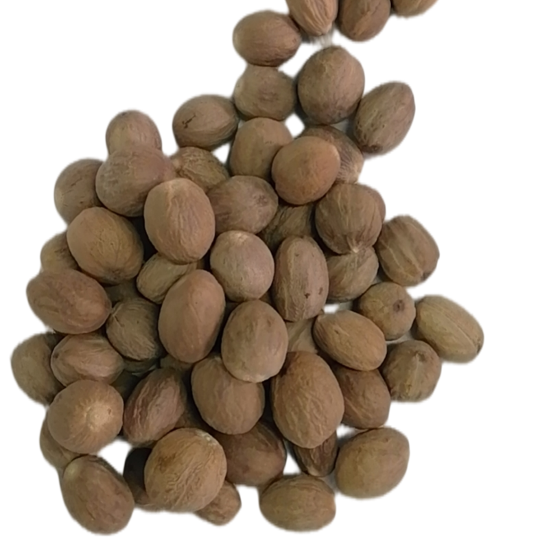New cardamom/new cardamom launches in 2021