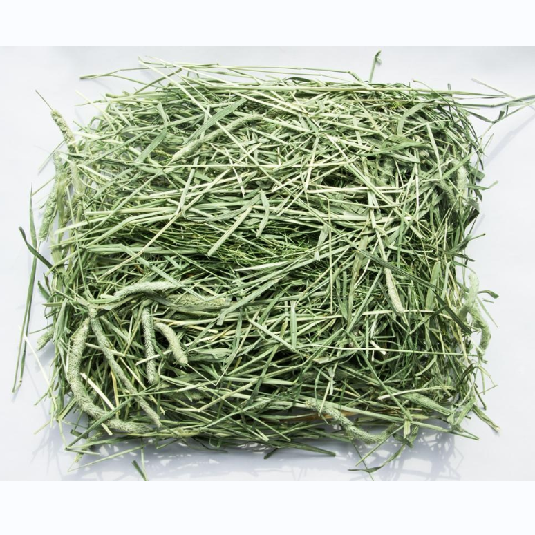 Good timothy hay for Animal Feeding