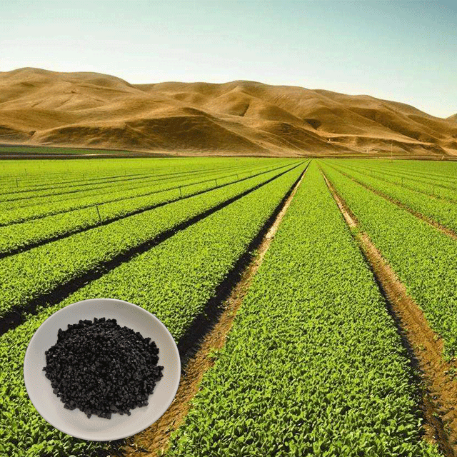 Качественный Усилитель роста растений Ningxia Humate, 100% растворимая в воде гуминовая кислота, леонордит гранулированный