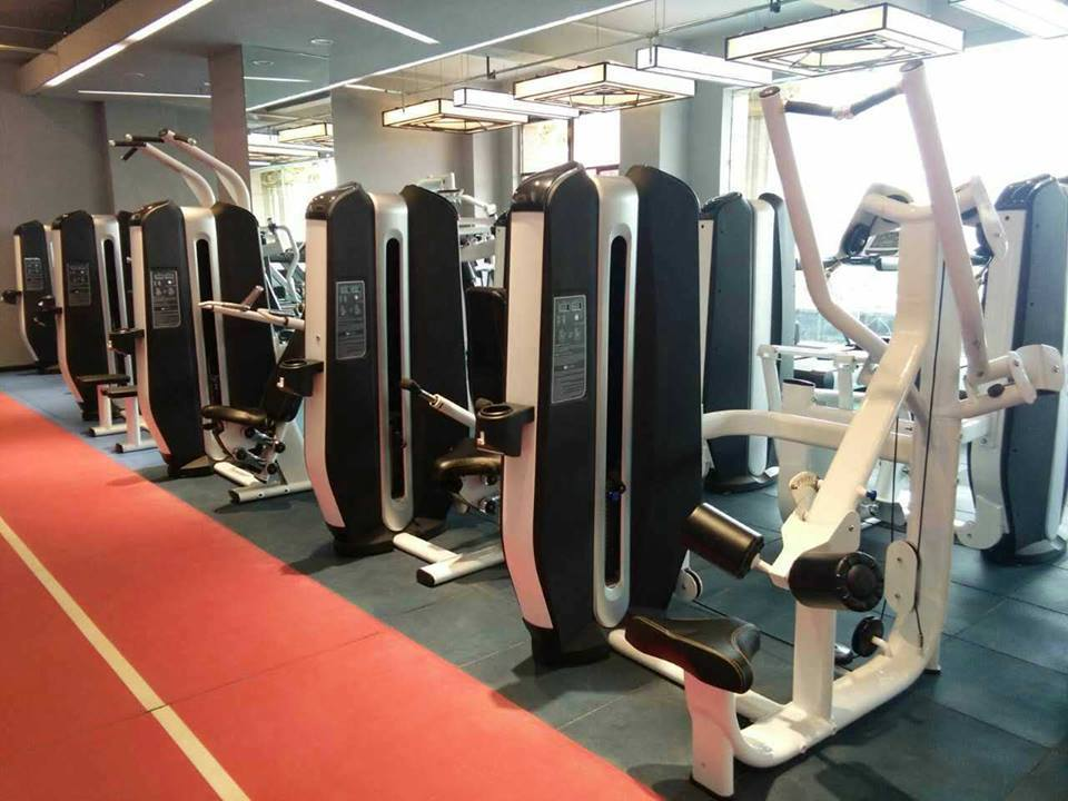 Gym Equipment Land Fitness Ldls-026 Seated Low Row Machine Fitness Equipment Home Sport Exercise Equipment