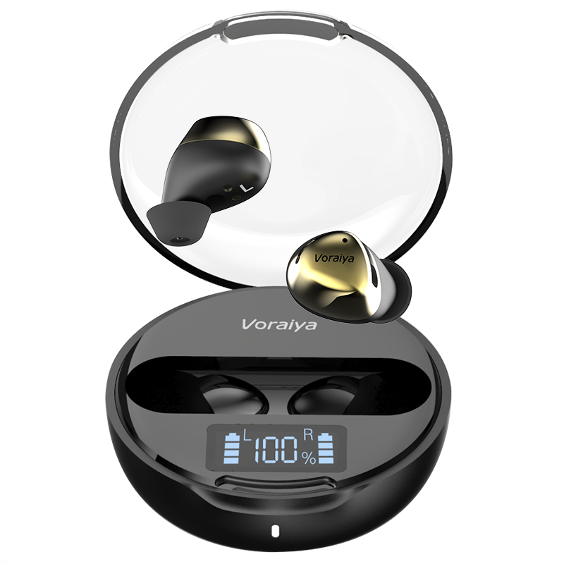 Digital Widex Oticon Re-sound CIC Bit Invisible Retone Hearing Aids for Batteries Rechargeable Hearing Aid