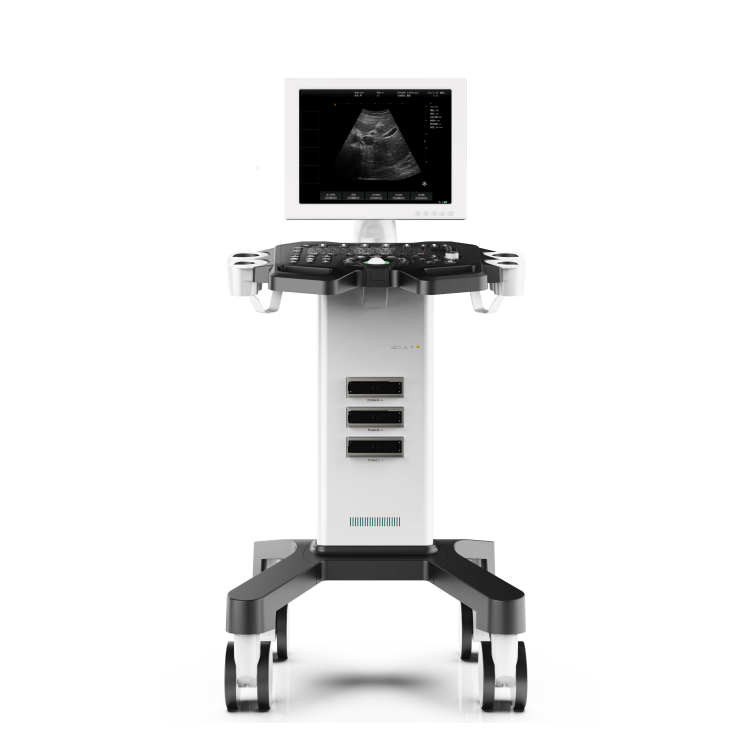 DW-370 Good price Ultrasonic Diagnostic Apparatus Black White Ultrasound Scanner Convex Ultrasonic Electronic Equipment