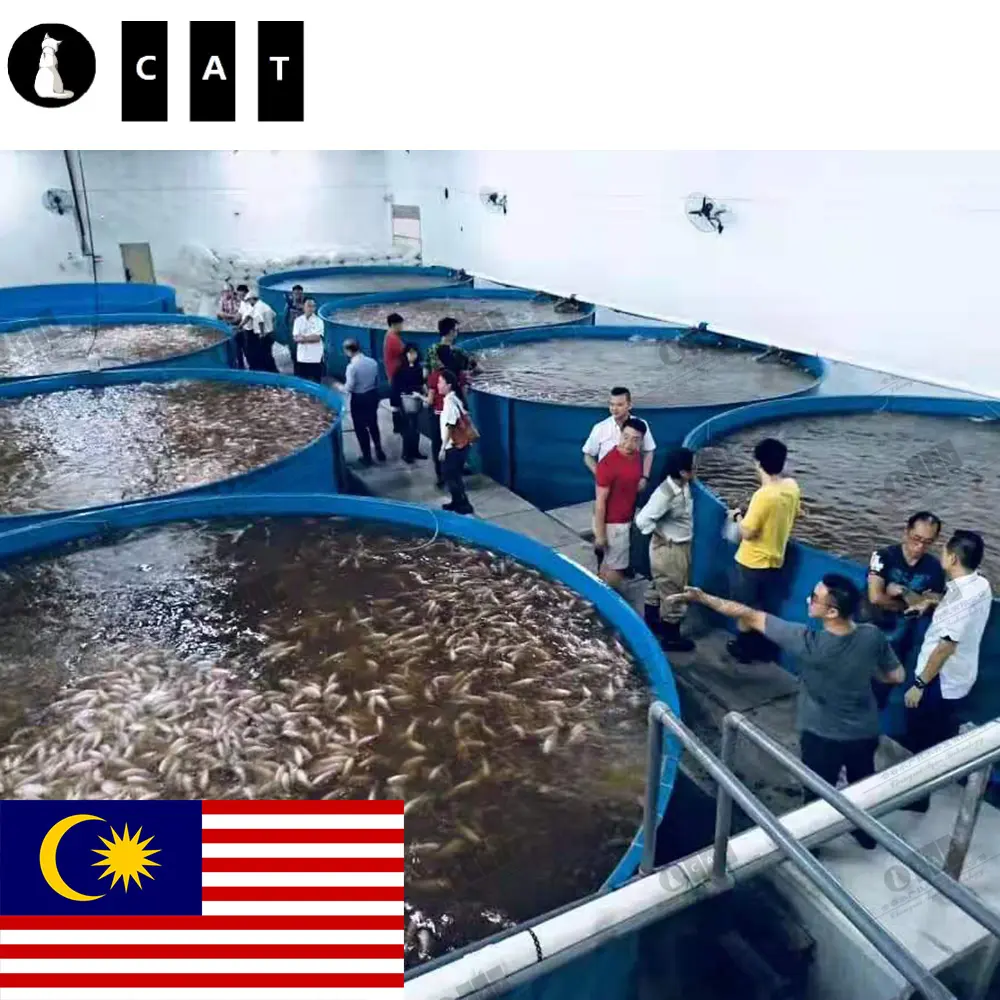 Malaysia Project Tilapia Ras Fish Farming Equipment Aquaculture System Aquaculture Fish Farming Equipment