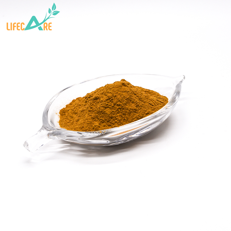 High Quality Certification ISO Probiotics Bacillus Coagulans With Best Price In Stock