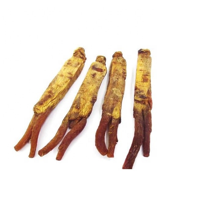 Korean Red Ginseng / Red Panax Ginseng Roots 20g Per Root Packed in Carton Boxes Bulk Shipment