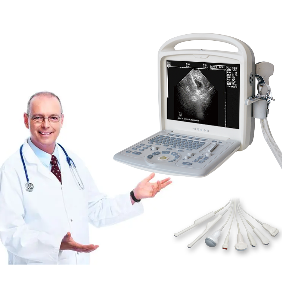 The factory creates an ultrasound device, complete with a 15-inch LCD screen as a standard feature.