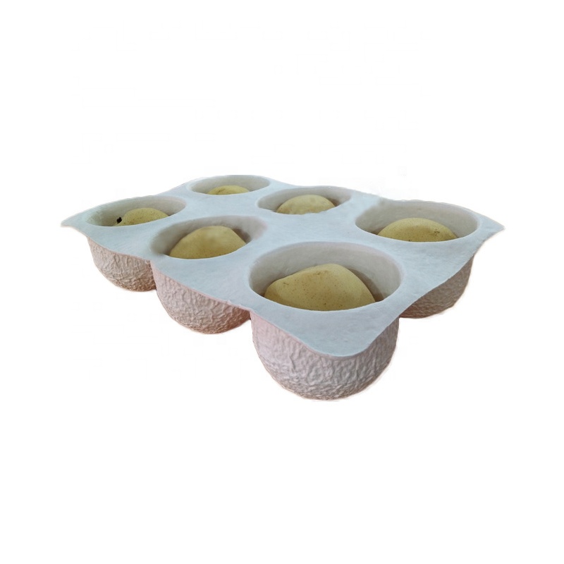 bagasse fruit vegetable packaging pulp custom logo sugarcane food packing Box Pulp packaging