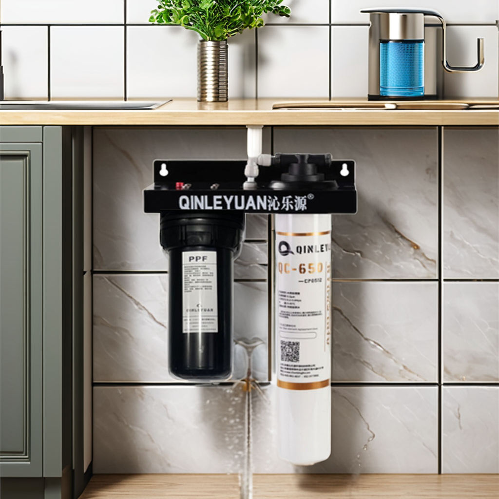 Mini Anti-Scale water filter Municipal water softener purifier for home Shower drinking and Washing