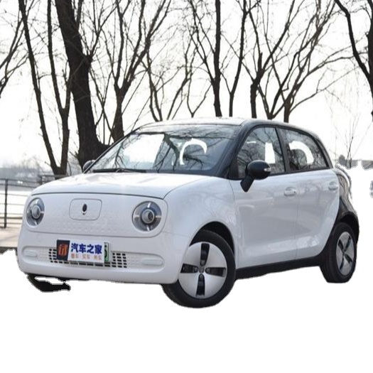 Новый энергетический город используется автомобиль 100 км/ч высокая скорость более 350 + км большой пробег Высокая производительность литиевая батарея.