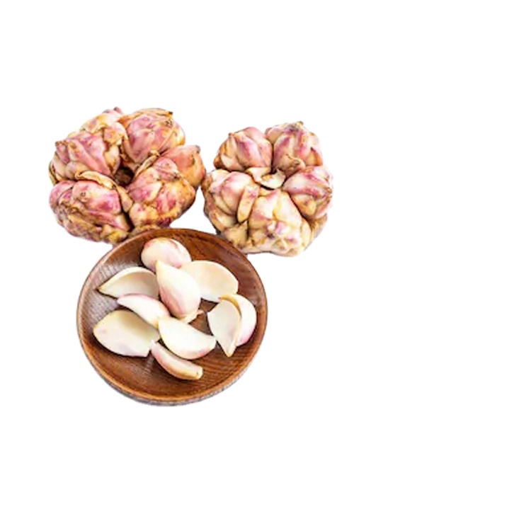 Hot Sale Lanzhou Dried Lily Bulbs White Fresh Planting