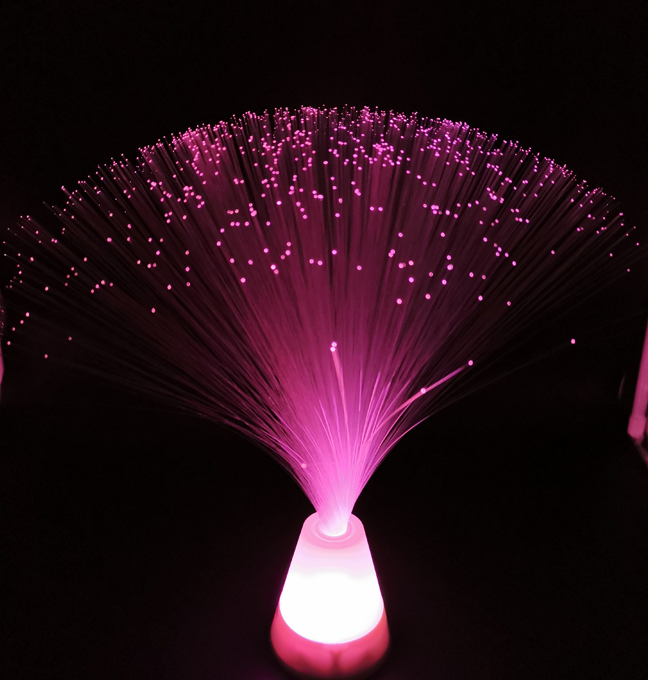 LED Fiber Optic Light Lamp Party Wedding Gifts Color Changing
