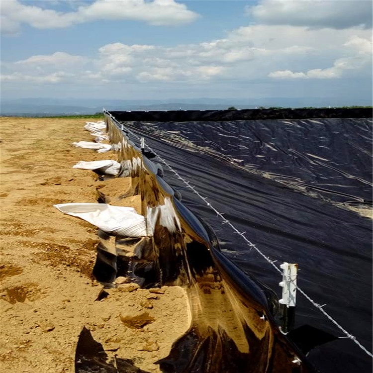 Китай geomembrane поставщик HDPE pondliner