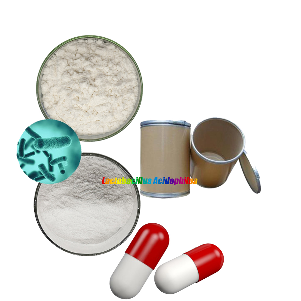 High grade Freeze dried probiotics powder of Lactobacillus acidophilus for fermented foods and probiotic-fortified foods