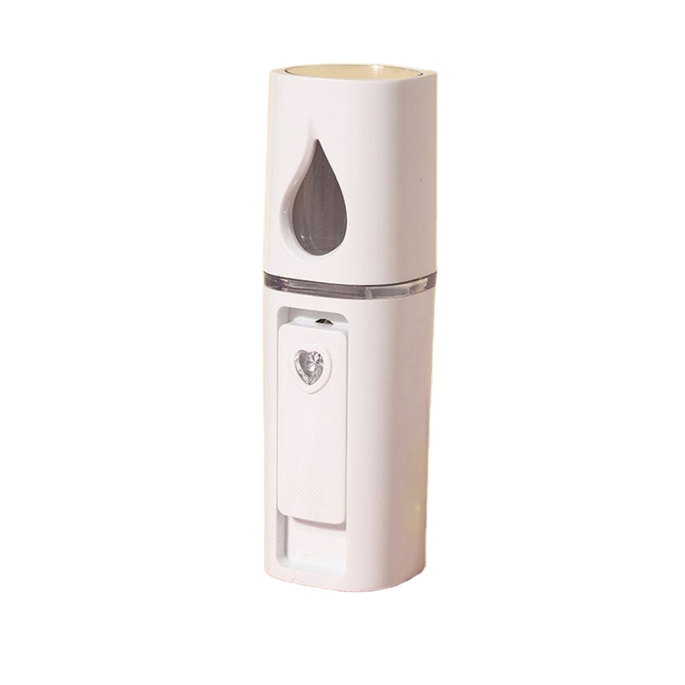 Home use mini mist ionic facial spa steamer nano