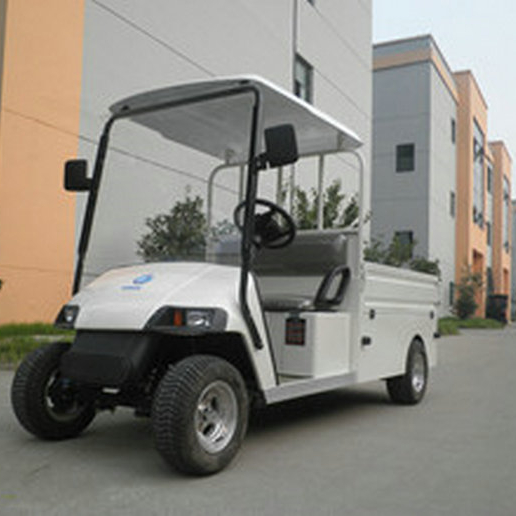 Wholesale products 2 Seater 48V High performance custom electric golf cart